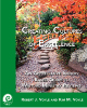 Creating Cultures of Excellence: An Appreciative Inquiry Based Guide to Mutual Ministry Reviews